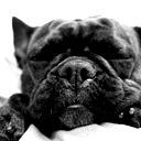 Александр Романов