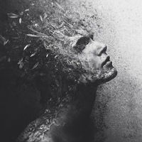 Антон Соловьёв