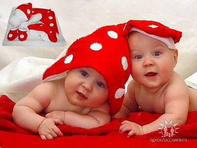 Эрика *********