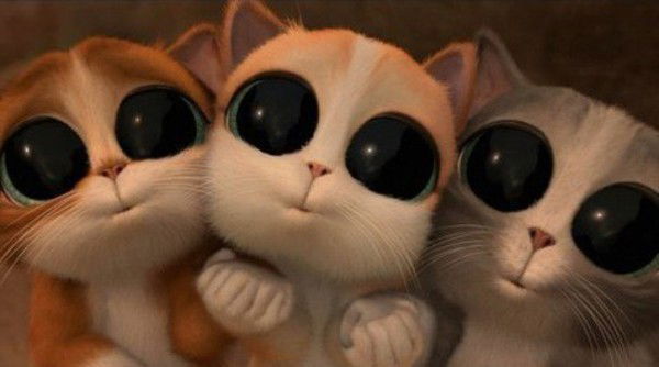 Милый Котейко