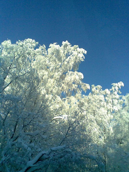 Сергей Ивашин