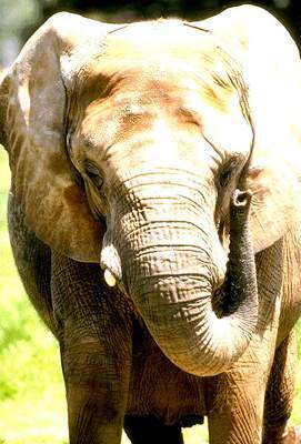 Олег Охотников