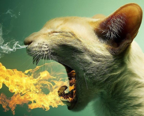 Володяжан ***