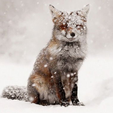 |Анастасия Бутрим|