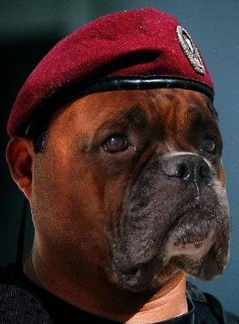 Игорь Ермолаев