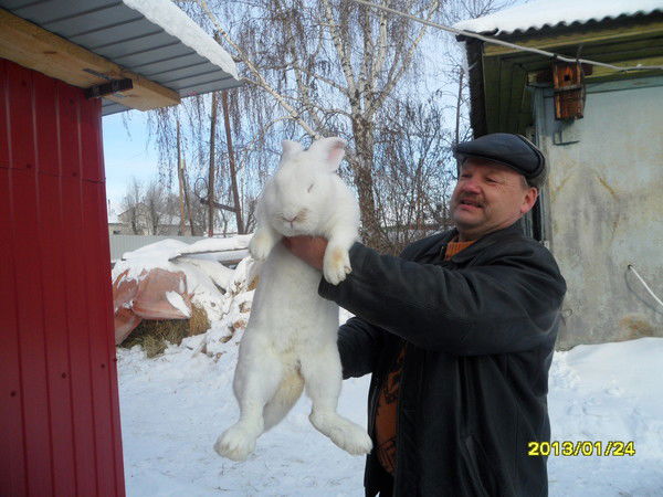 Владимир Парыгин