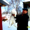 Владимир Парыгин