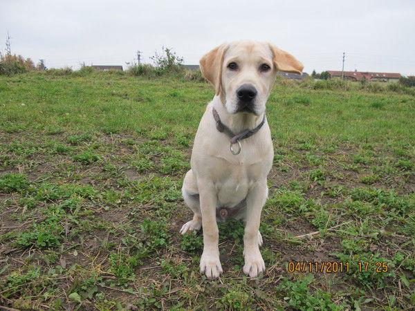 Сергей Горбачев