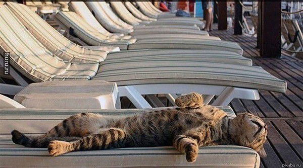 Ольга Томас