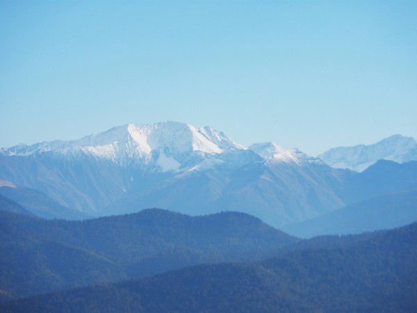 Дмитрий Трусов