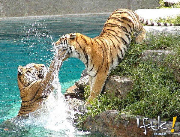 Валерия Демидова