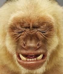 Вован Голебев