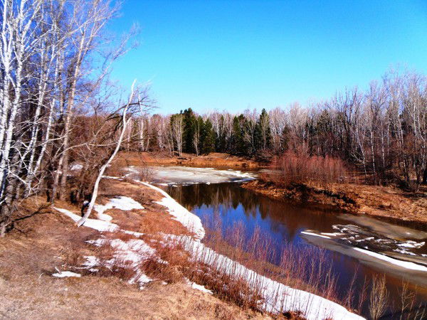 Владимир Грибов