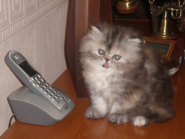 Наталья Неверова