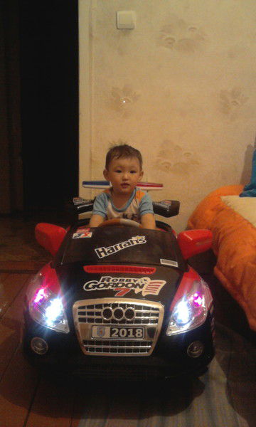 С. Жанибеков