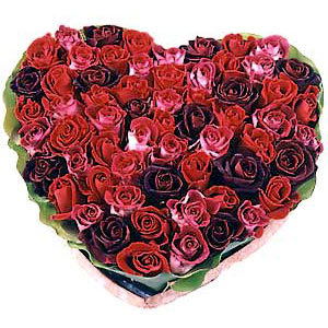 Майра Дарибаева