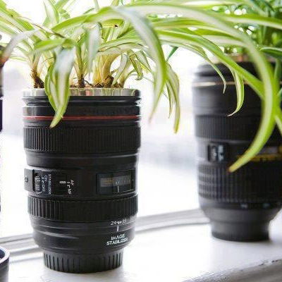 Светлана Пучкова