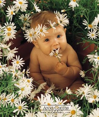 Виктория Антипенко