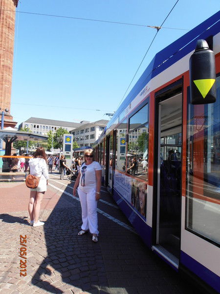 Светлана Николаева