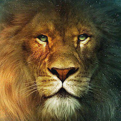 Ибрагим Дзагоев