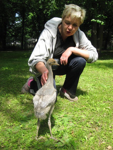 Ирина Дворецкая