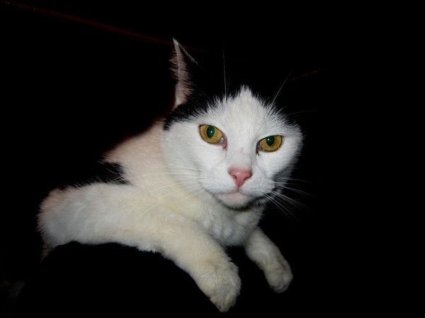 Ольга Сиркова