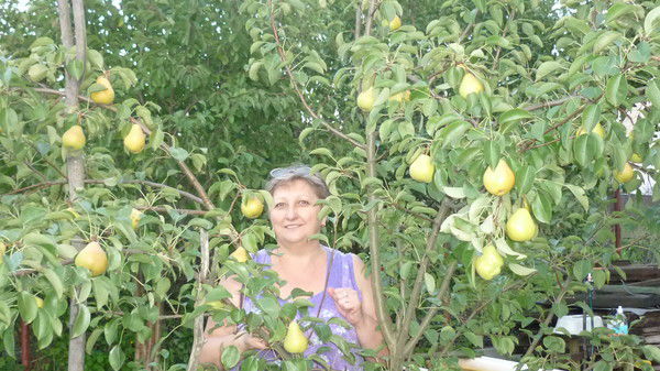 Зинаида Гаргалык