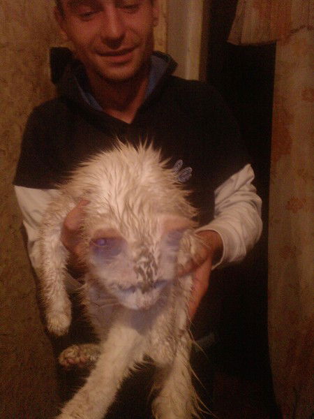 Станислав Фивчук