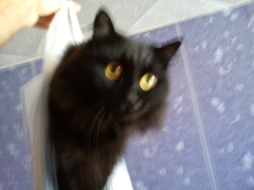 Валерий Валерьевич