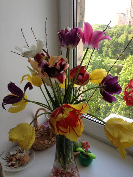 Ирина Иванова