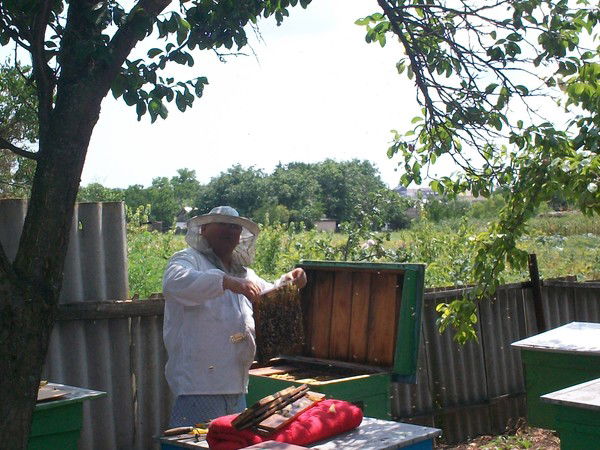 Николай Буримский