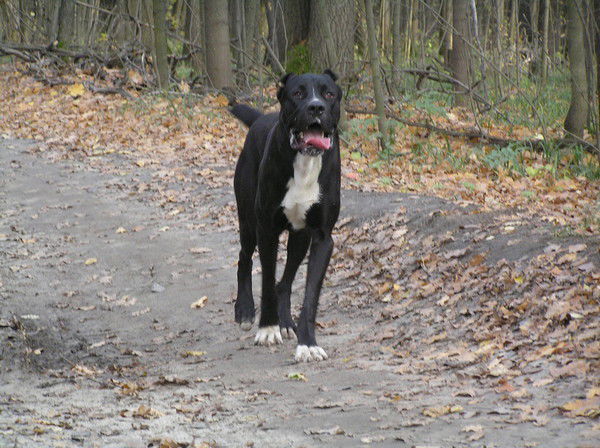 Мой Город Тамбов !!!