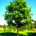 <=Анатолий =>