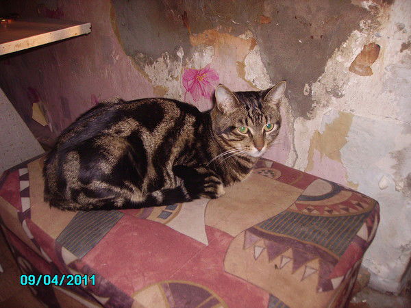 Екатерина Толмачева