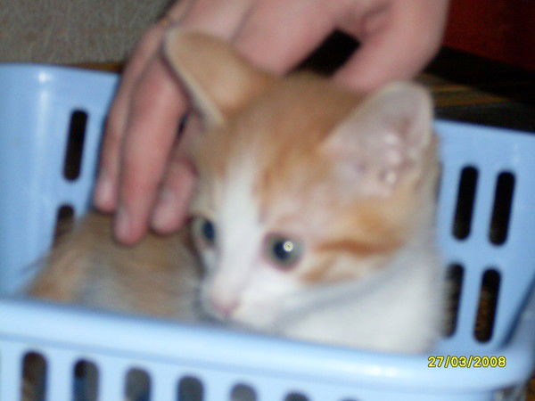 Сергей Гимаев