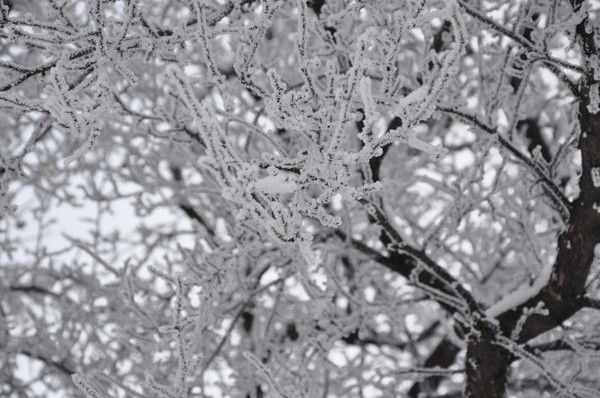 Оксана Назарова