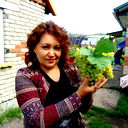 Гузель Салихова