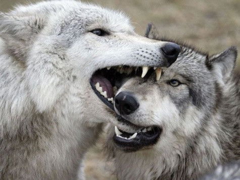 Марина Шихова (Демина)