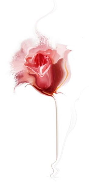 Елена Красавина