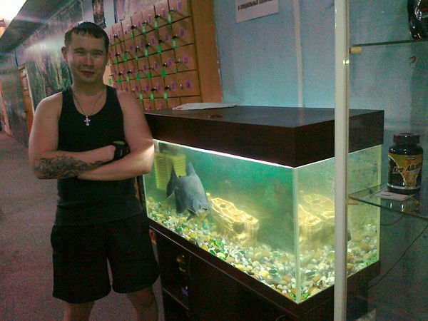 Александр Токоёков