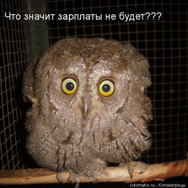 Галина Гордеева