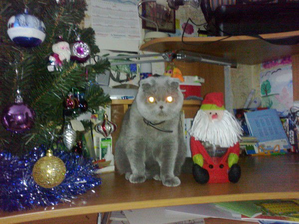 Любовь Кетросан