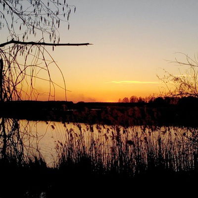 Серега Гордиенко