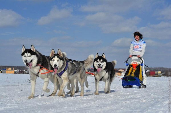 Сергей Иванов