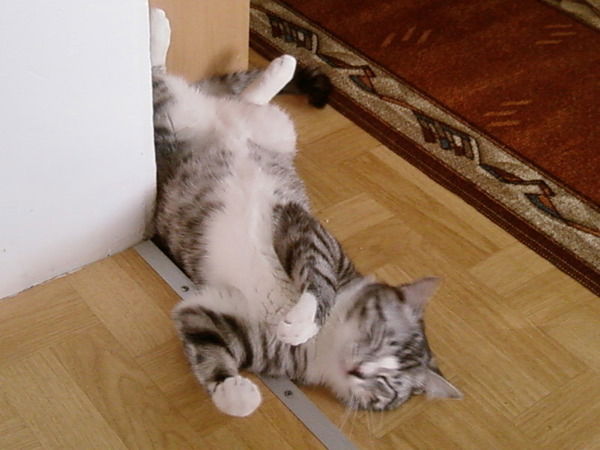 Юрий Глазунов