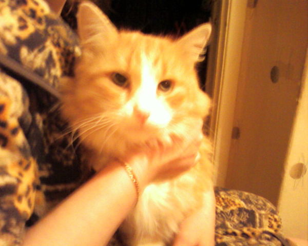 Simakorsh Коршунова