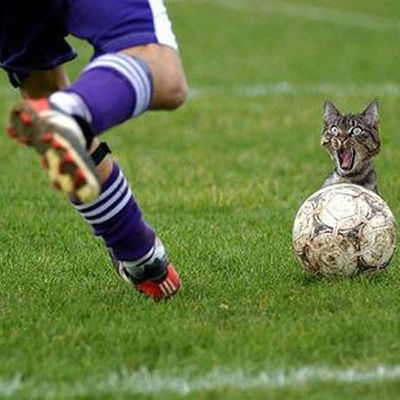 Степан Ковальчук