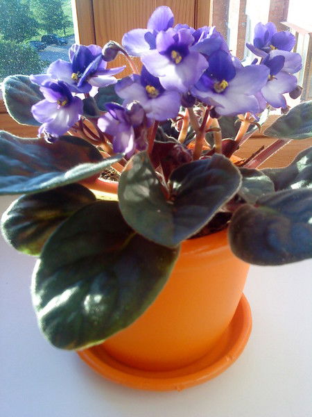 Татьяна Aksioma