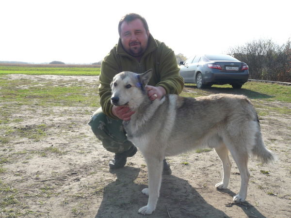 Неизвестно Неизвестно