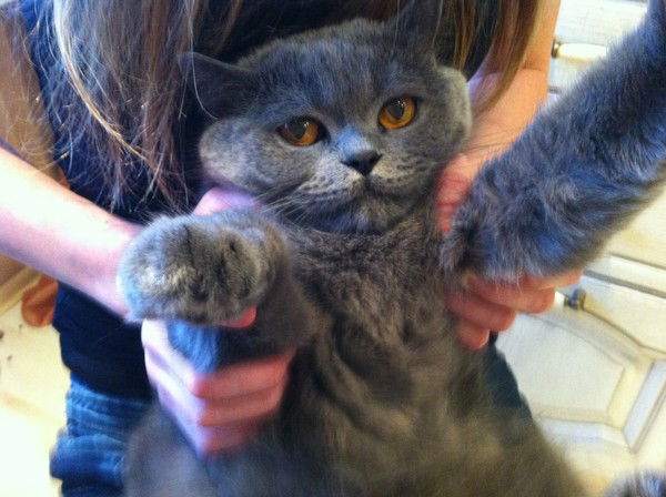 Ирина Гирич